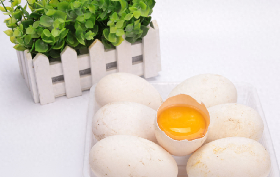 鹌鹑吃蛋殼嗎_鹌鹑蛋吃多了會怎樣_鹌鹑吃蛋怎麼辦