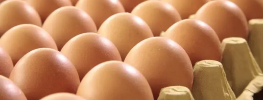 最近雞蛋的價格，為什麼漲價了
