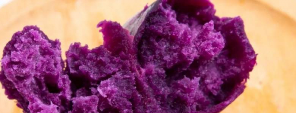紫薯的高產種植技術，選擇品種時需要注意