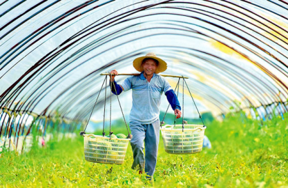什麼是三農，了解中國農村發展的三大領域