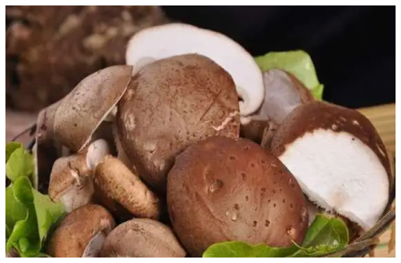 鮮香菇能冷凍嗎，正確的冷凍方法