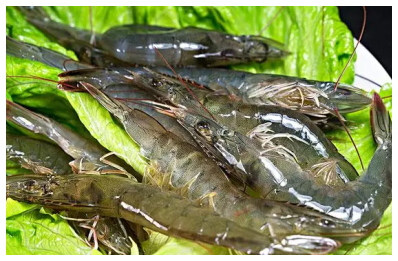 中國淡水蝦品種，你喜歡哪種蝦