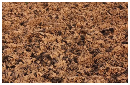 什麼土壤最適合種植,土壤適合哪些農作物